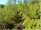 Planina Ravne - Ojstrica